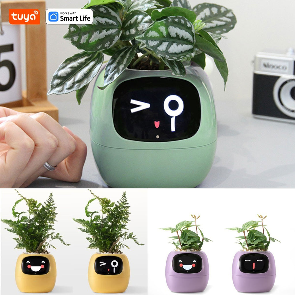 SmartGrow Ivy – Plantador Inteligente com Emoções e Sensores