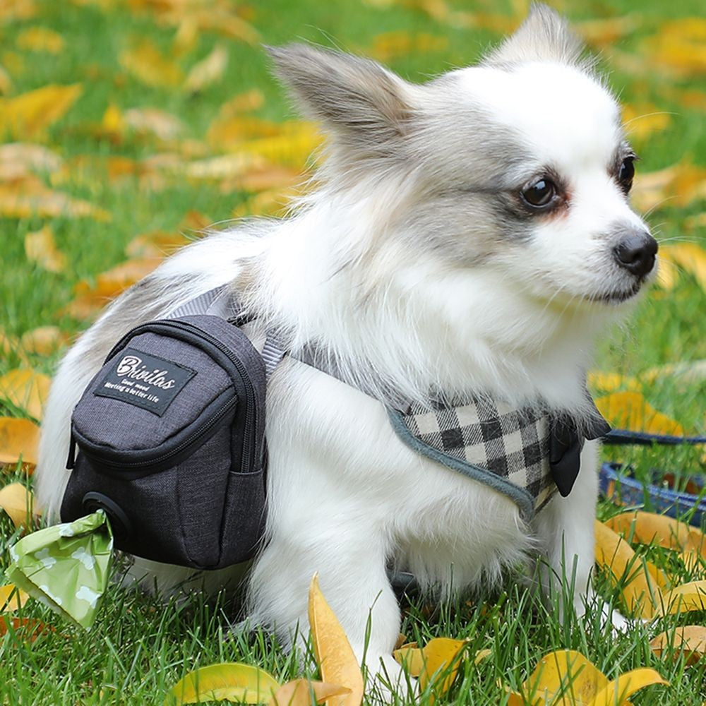 DogGoBag – Bolsa Pet de Passeio 3 em 1