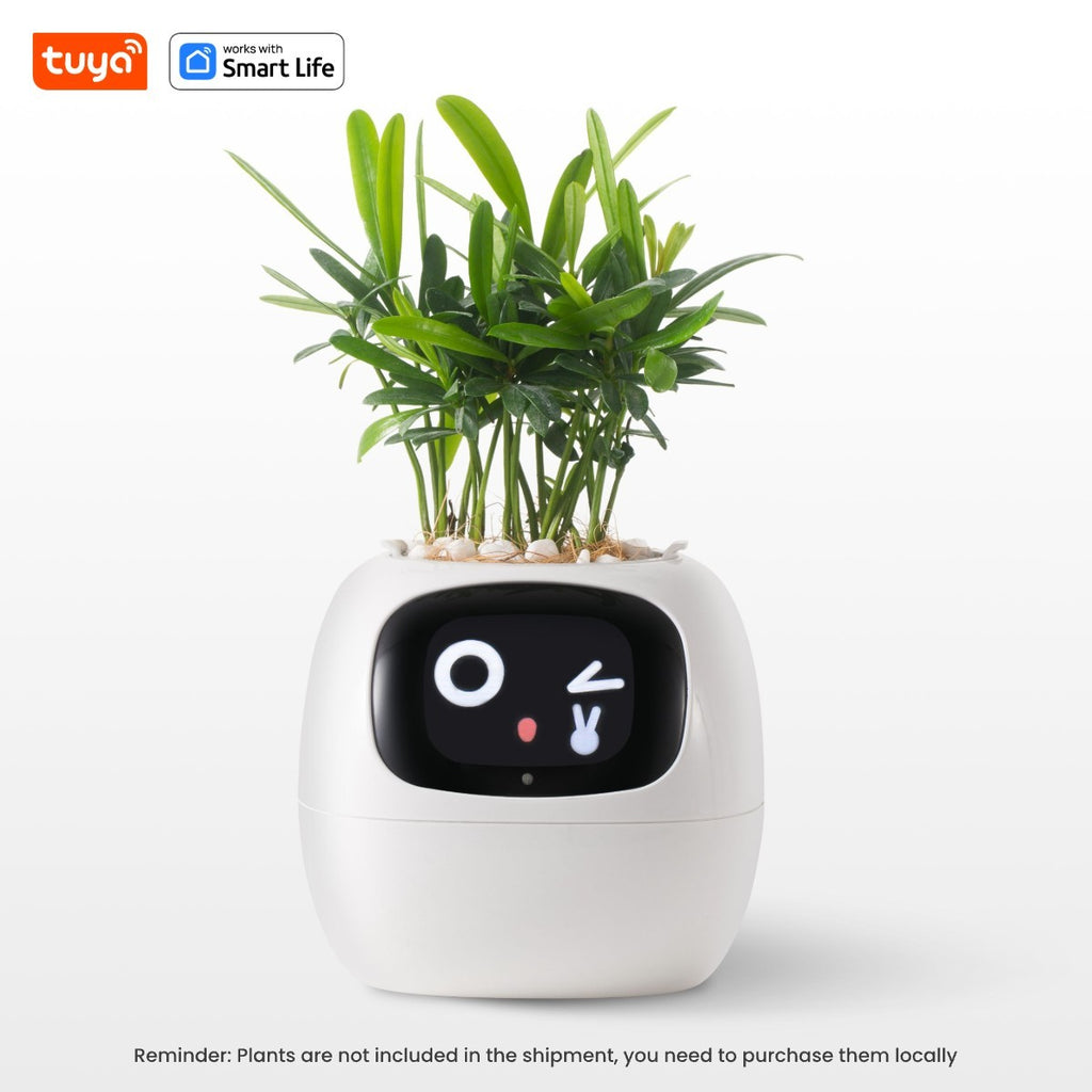 SmartGrow Ivy – Plantador Inteligente com Emoções e Sensores