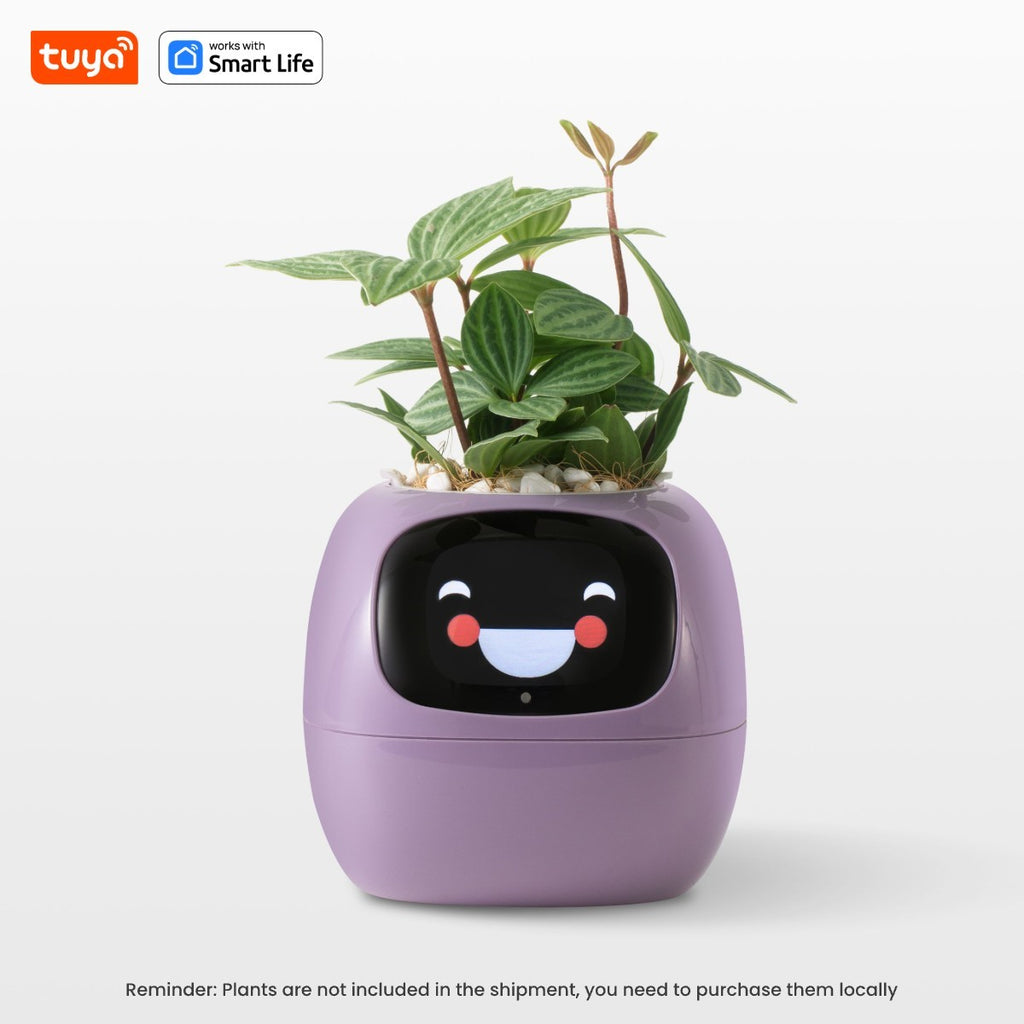 SmartGrow Ivy – Plantador Inteligente com Emoções e Sensores