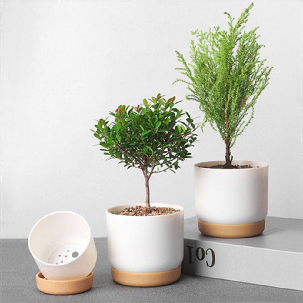 HydroGreen Duo – Vaso Autoirrigável para Suculentas e Plantas Pequenas