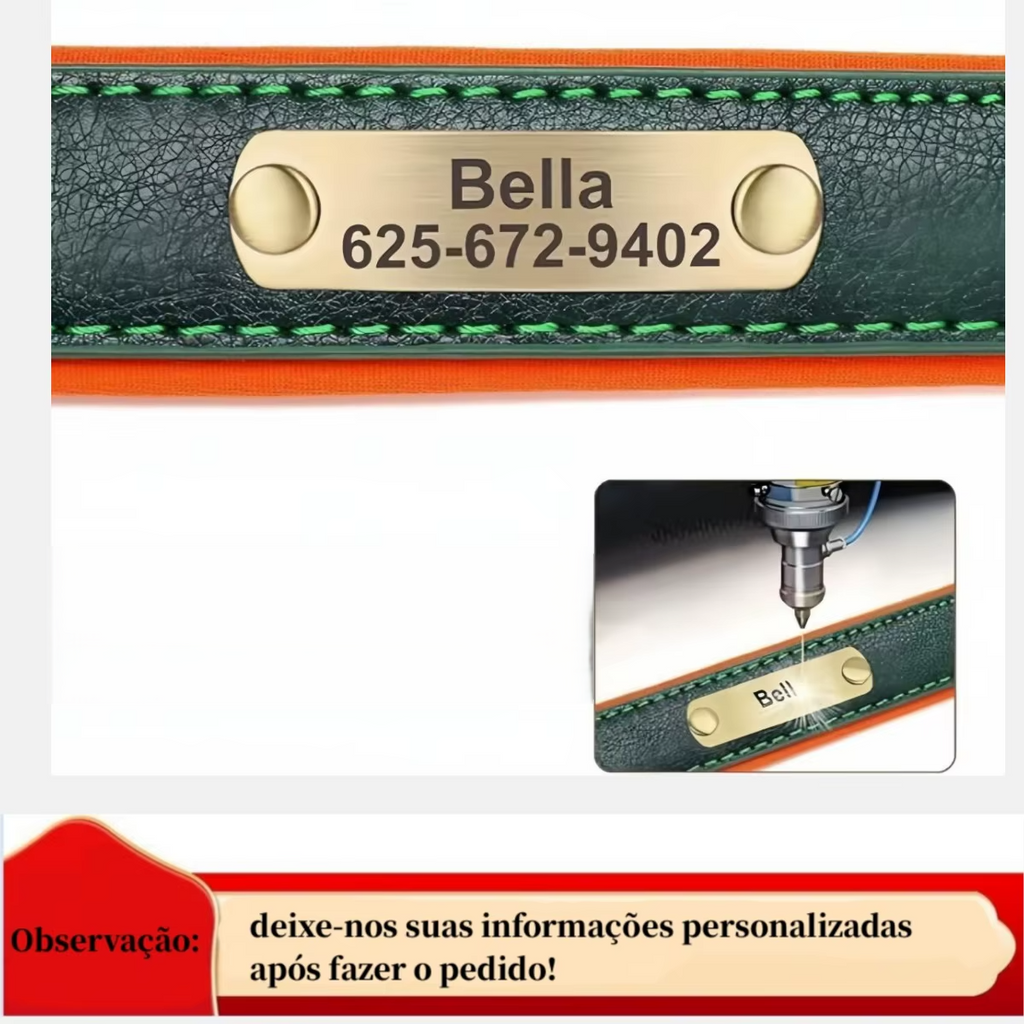 LuxPet - Coleira Personalizada