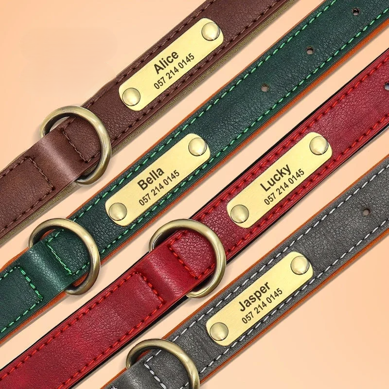 LuxPet - Coleira Personalizada