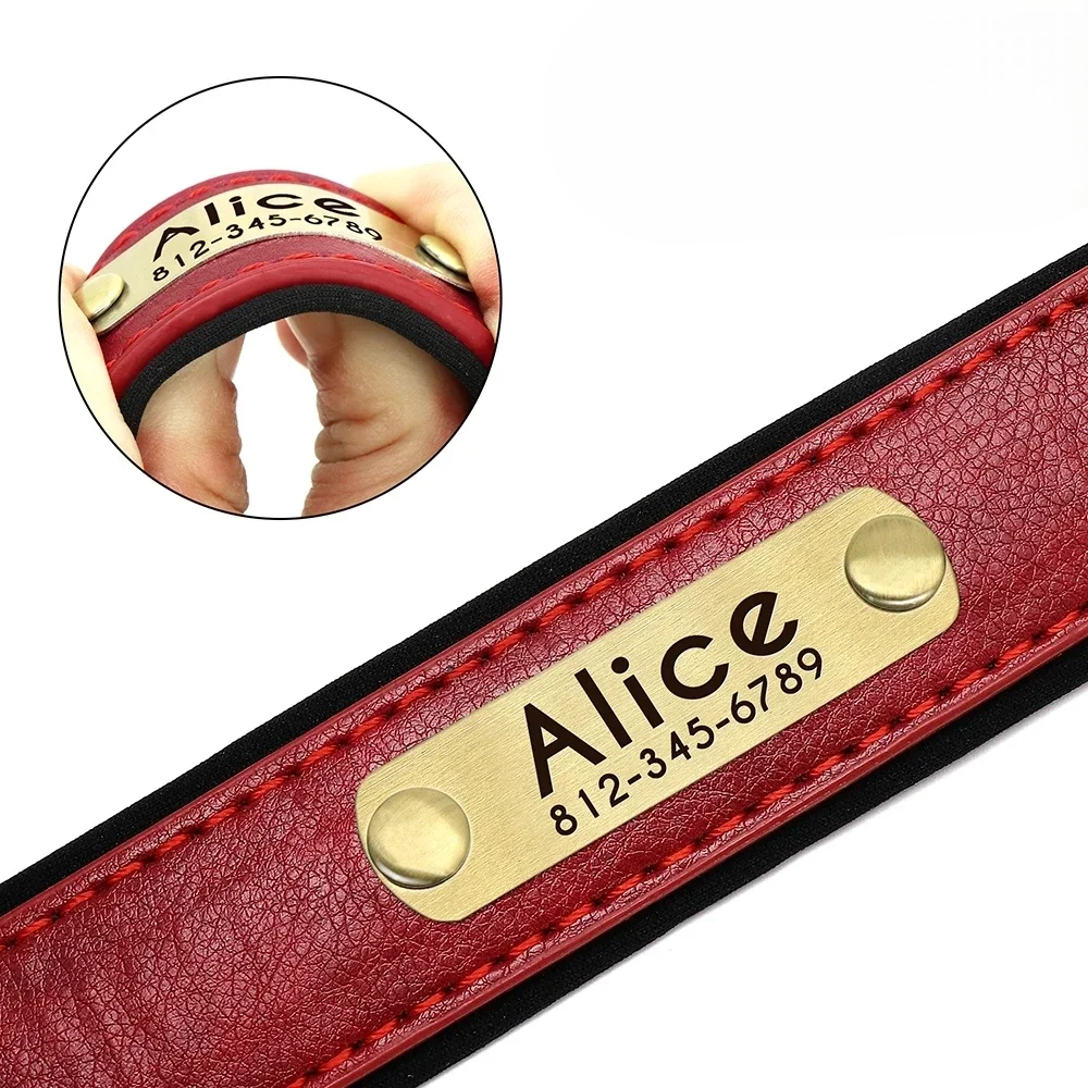 LuxPet - Coleira Personalizada