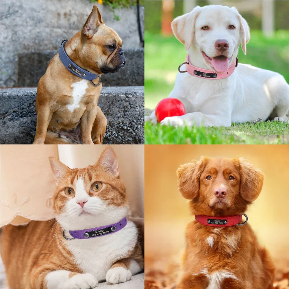 LuxPet - Coleira Personalizada