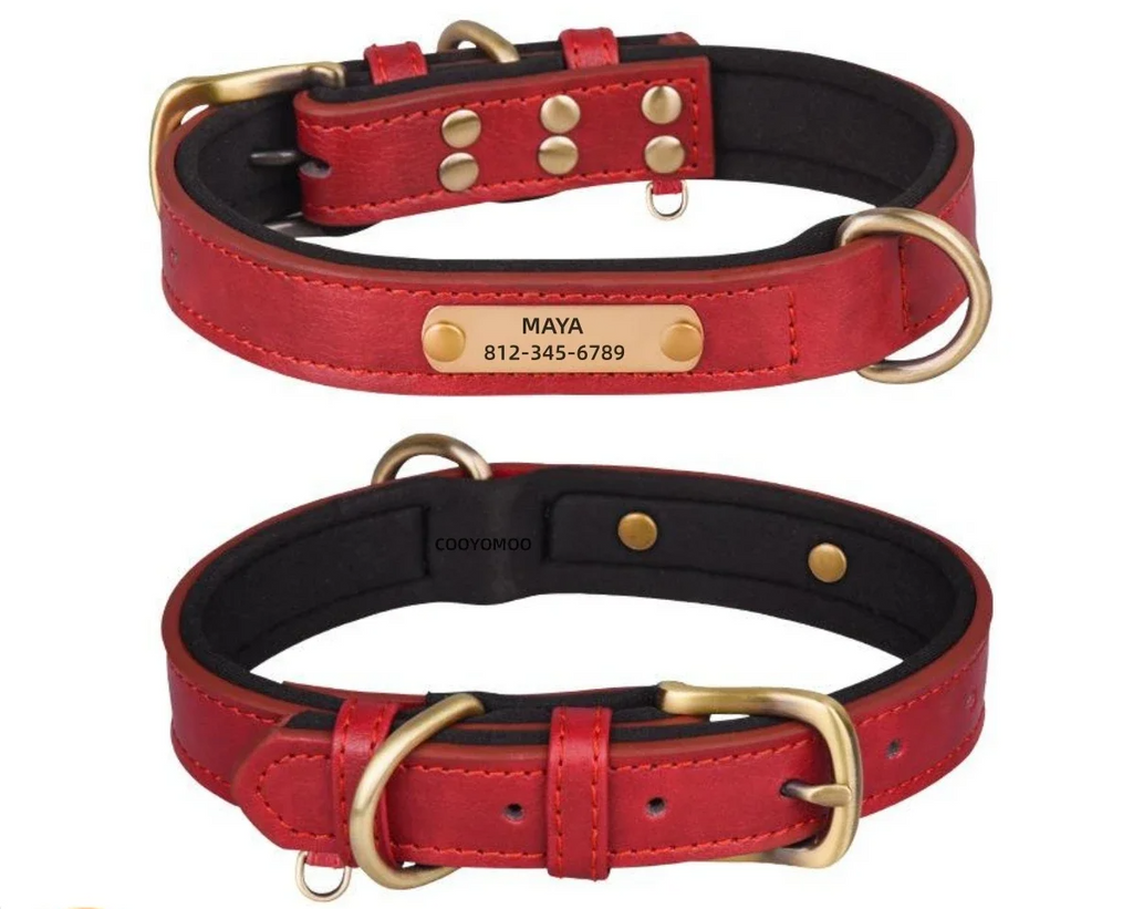LuxPet - Coleira Personalizada