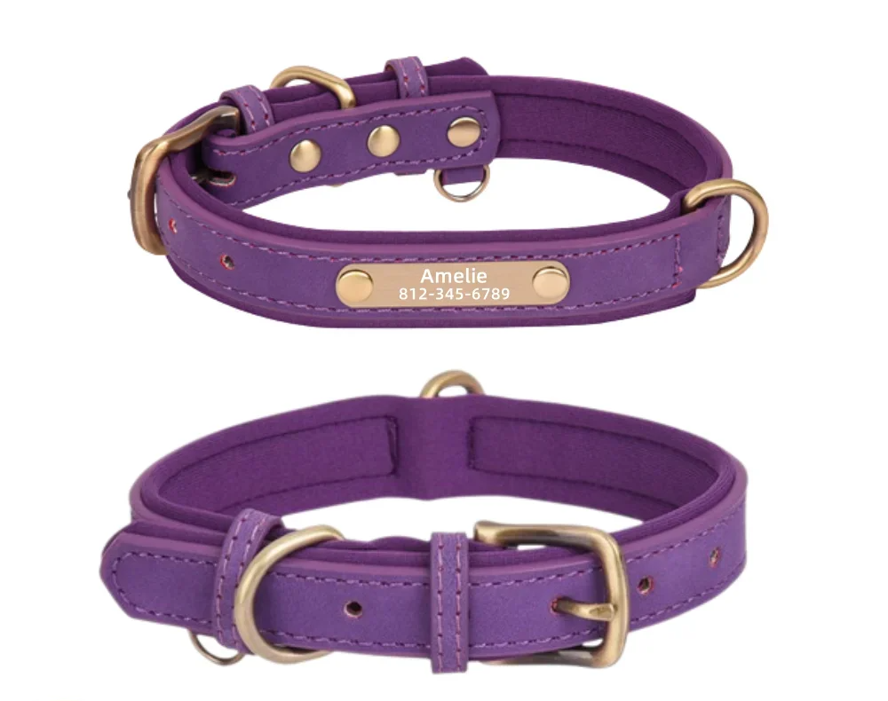 LuxPet - Coleira Personalizada