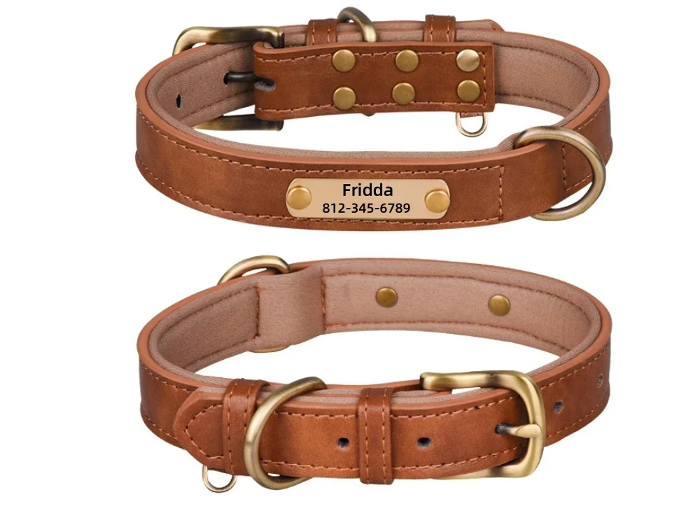 LuxPet - Coleira Personalizada