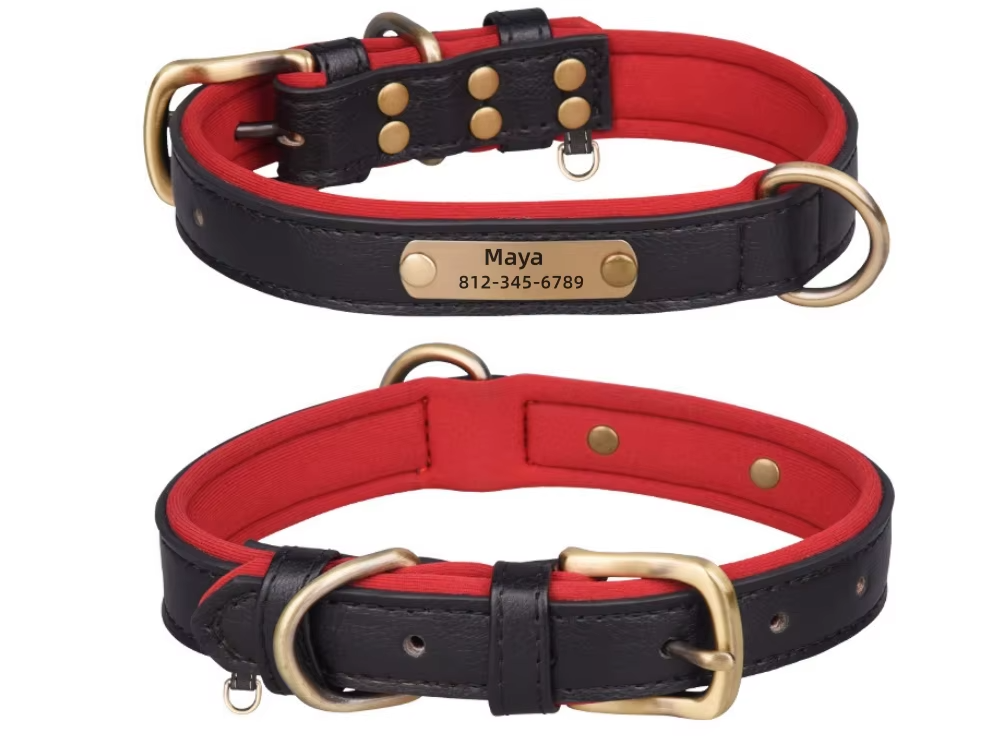 LuxPet - Coleira Personalizada