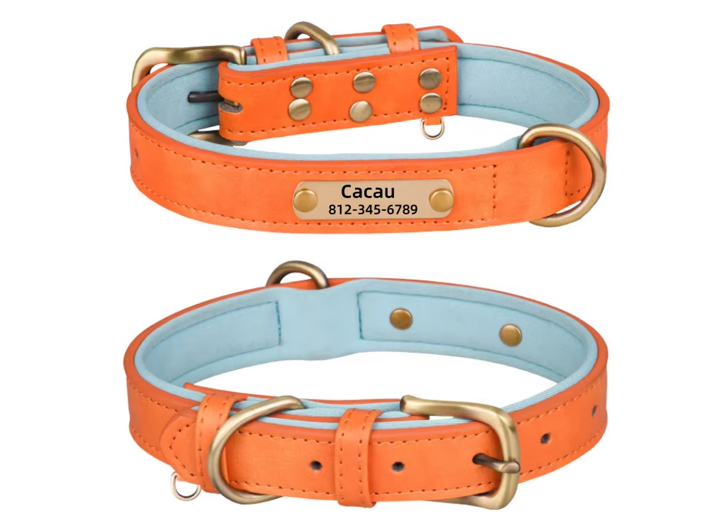 LuxPet - Coleira Personalizada