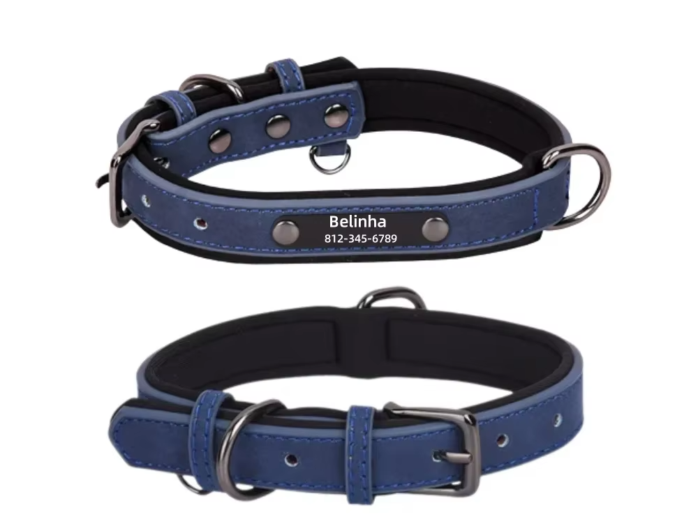 LuxPet - Coleira Personalizada