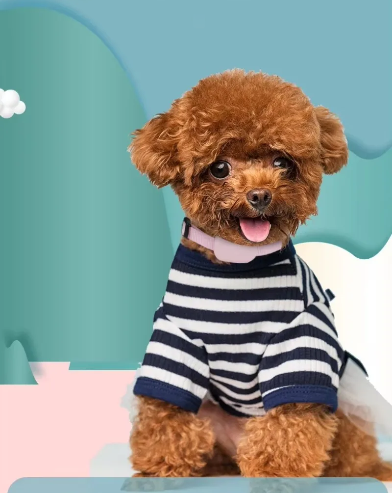 SafeTrack GPS – Rastreador de Coleira à Prova d’Água