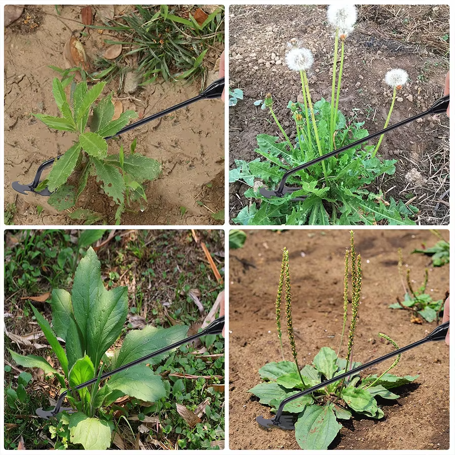 WeedBlade – Cortador de Ervas Daninhas de Lâmina Afiada