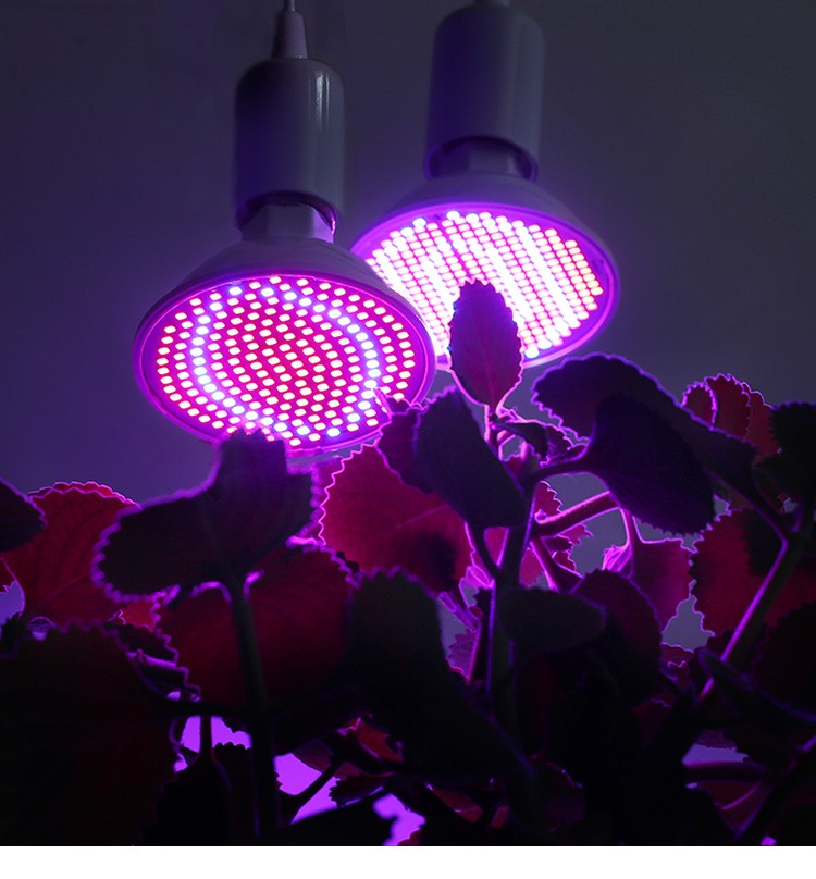 GrowBright – Lâmpada LED Plantas Espectro Completo