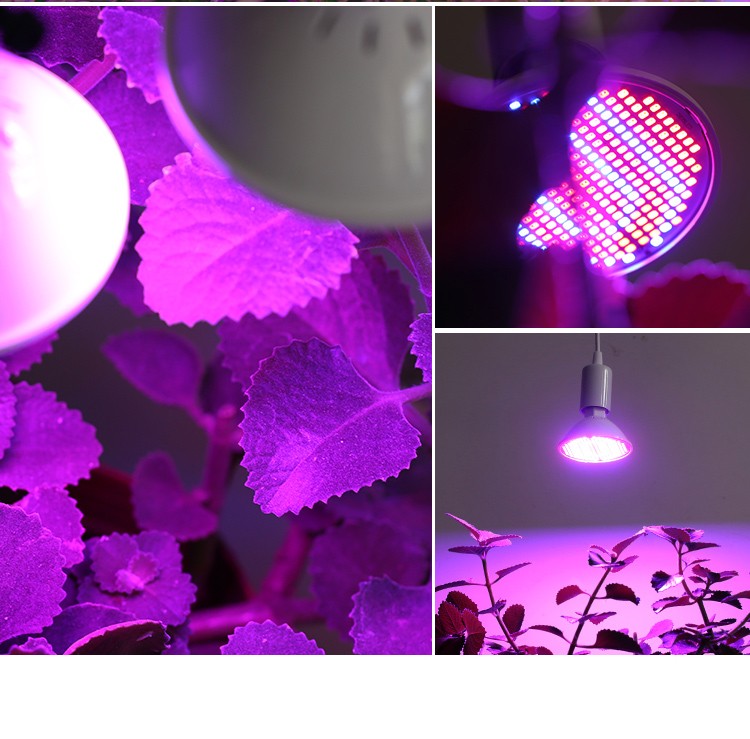 GrowBright – Lâmpada LED Plantas Espectro Completo