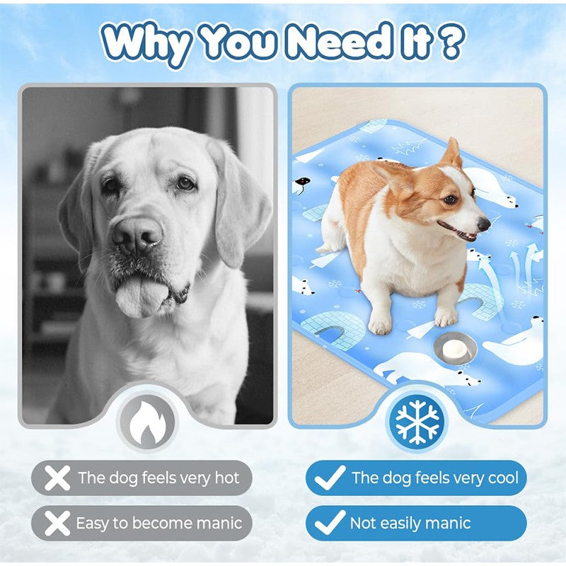 CoolPaws – Esteira Gelada de Verão para Cães e Gatos
