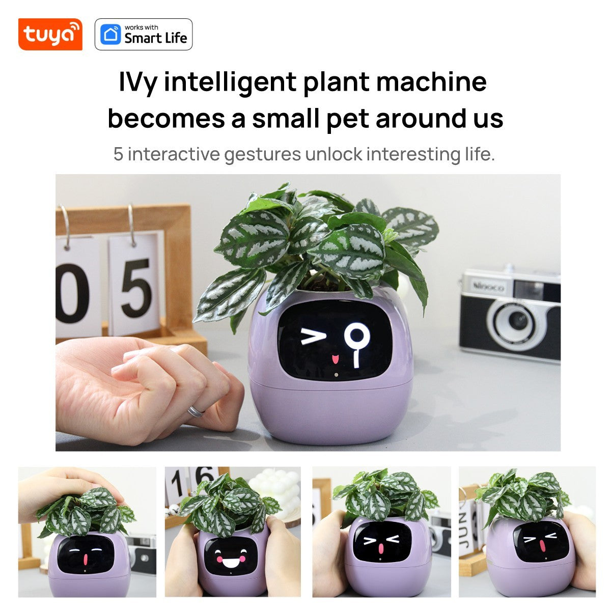 SmartGrow Ivy – Plantador Inteligente com Emoções e Sensores