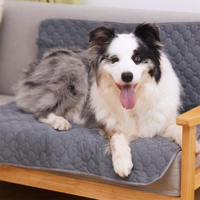 PetDry Max – Tapete Impermeável Reutilizável