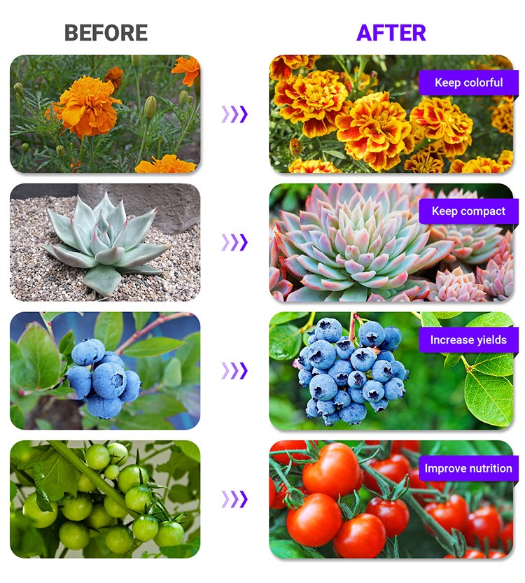 GrowBright – Lâmpada LED Plantas Espectro Completo