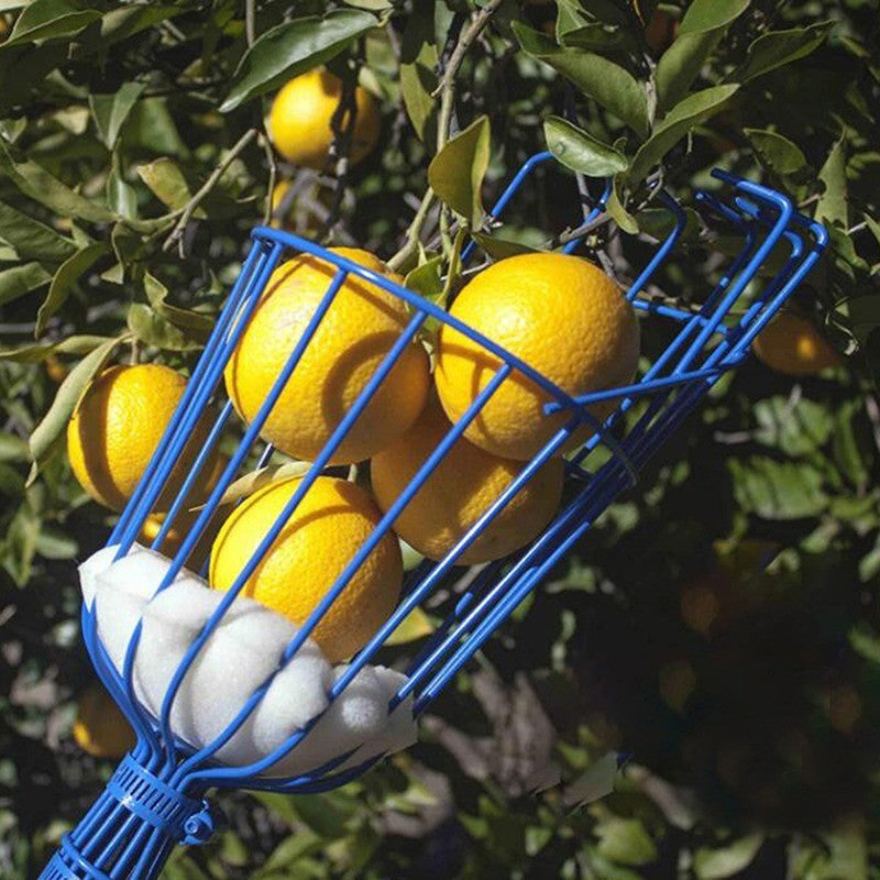 FruitReach – Coletor de Frutas com Cesta Profunda para Árvores Altas