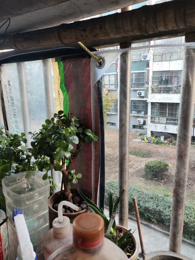 Capa Térmica para Plantas – Proteção Transparente contra Frio e Vento