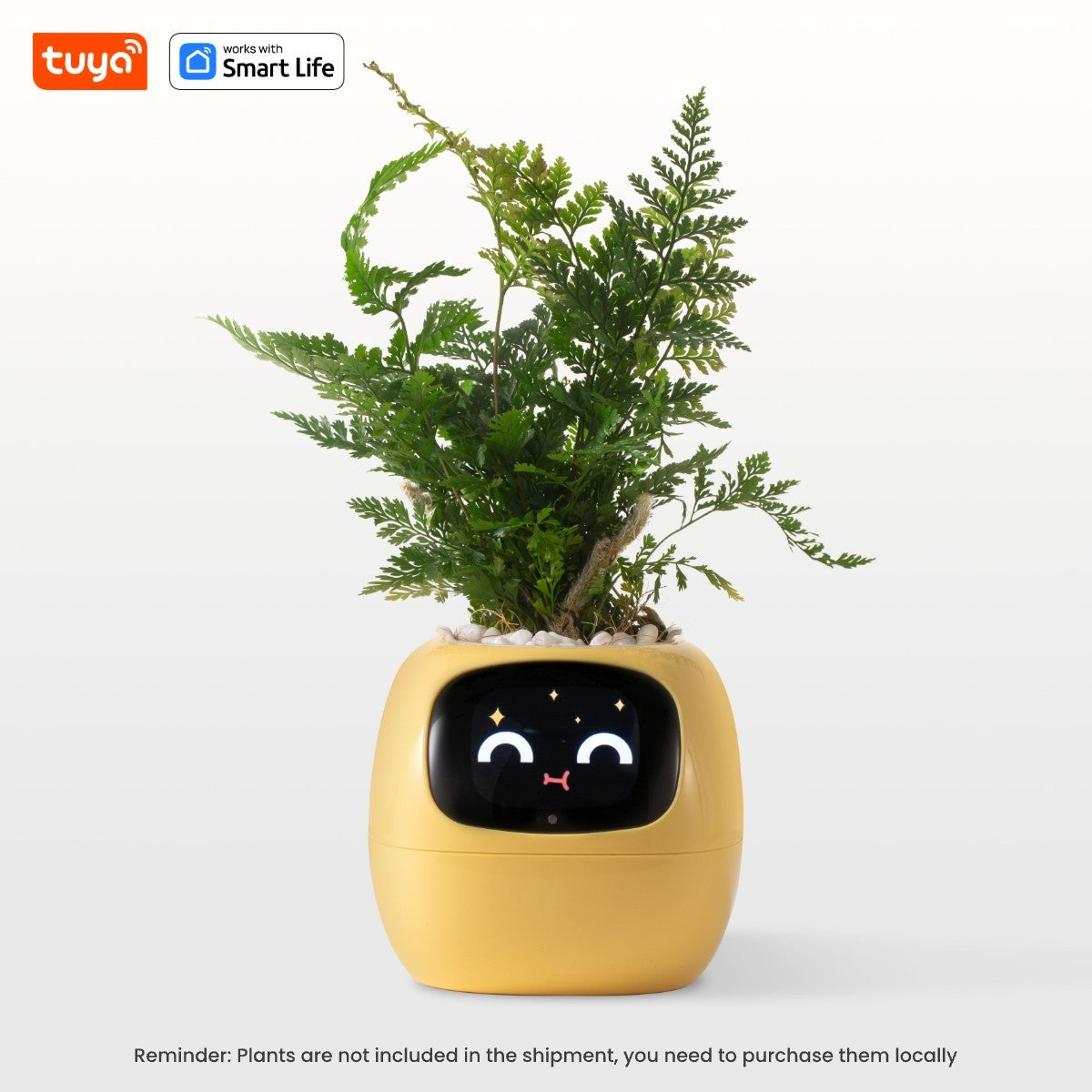 SmartGrow Ivy – Plantador Inteligente com Emoções e Sensores