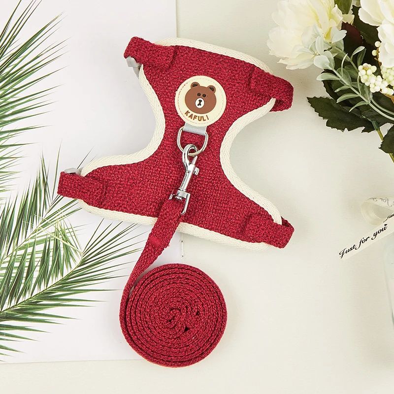 PulePasseio – Conjunto Seguro para Coelho Explorar