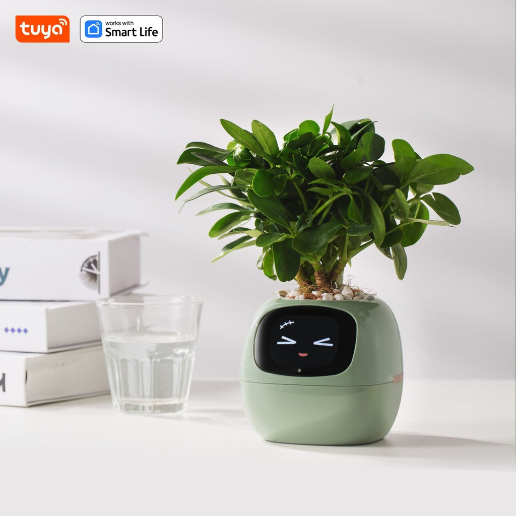 SmartGrow Ivy – Plantador Inteligente com Emoções e Sensores