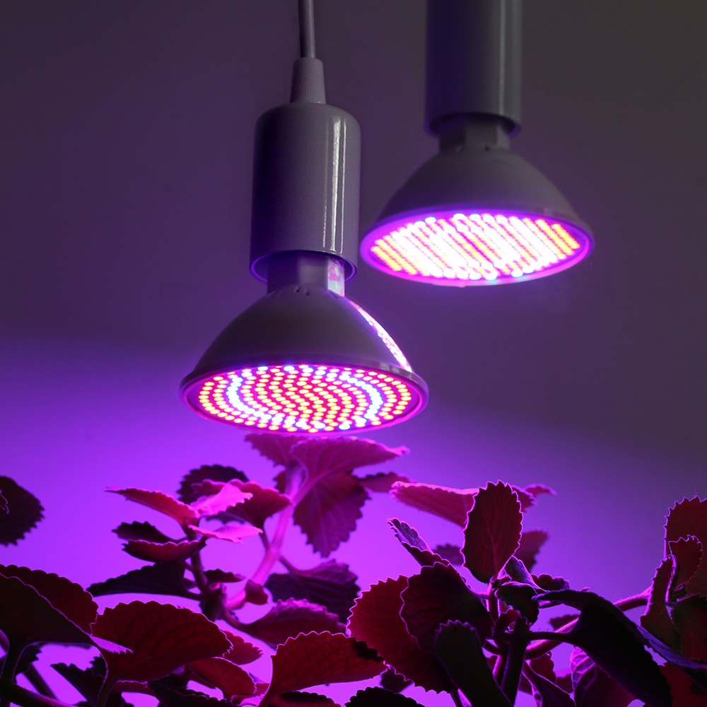 GrowBright – Lâmpada LED Plantas Espectro Completo