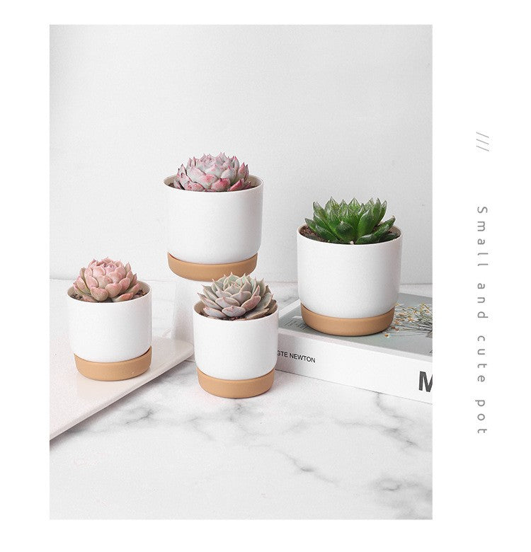 HydroGreen Duo – Vaso Autoirrigável para Suculentas e Plantas Pequenas