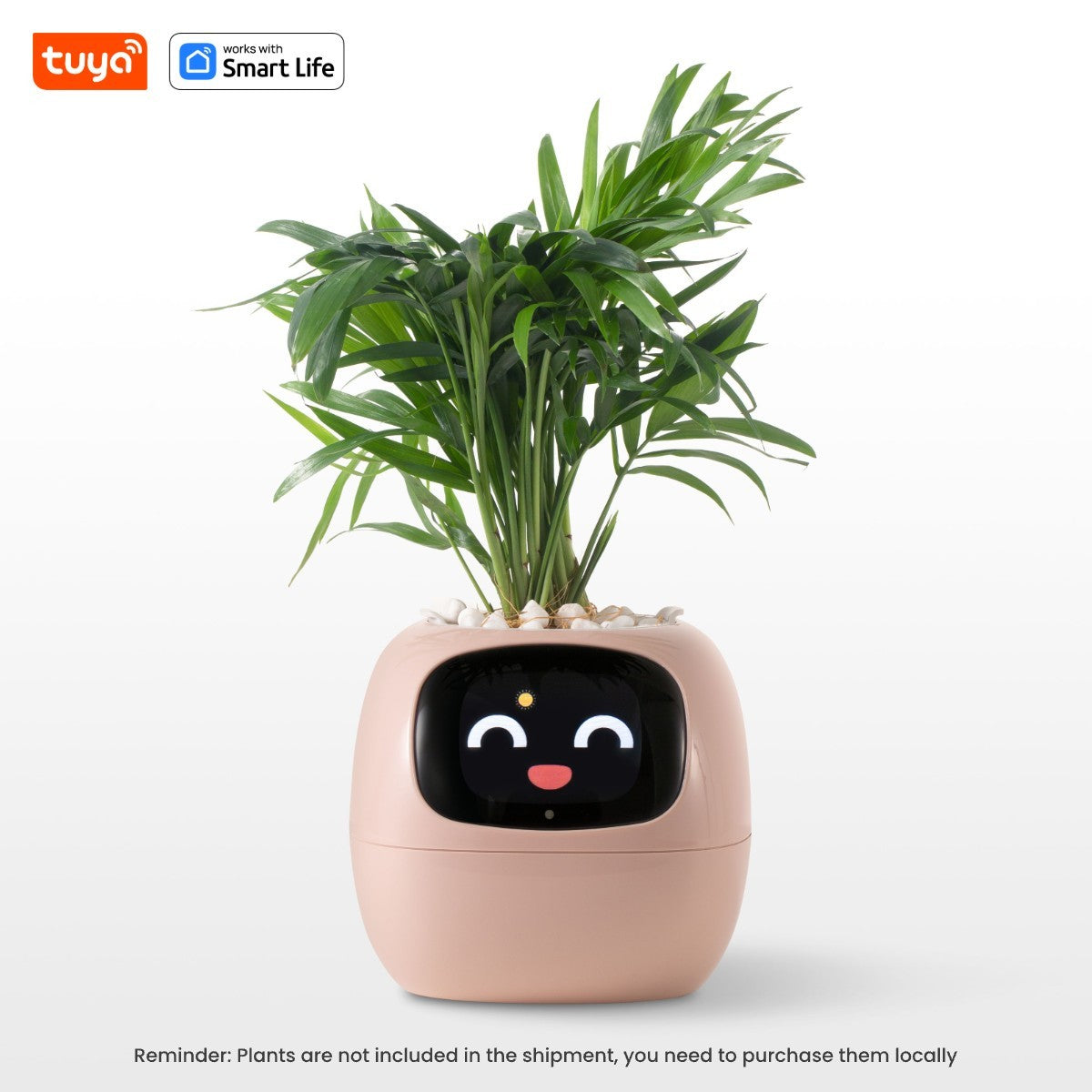 SmartGrow Ivy – Plantador Inteligente com Emoções e Sensores