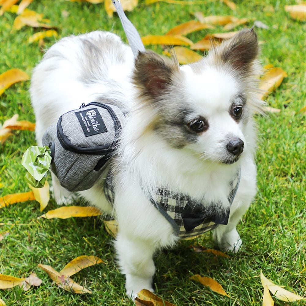 DogGoBag – Bolsa Pet de Passeio 3 em 1