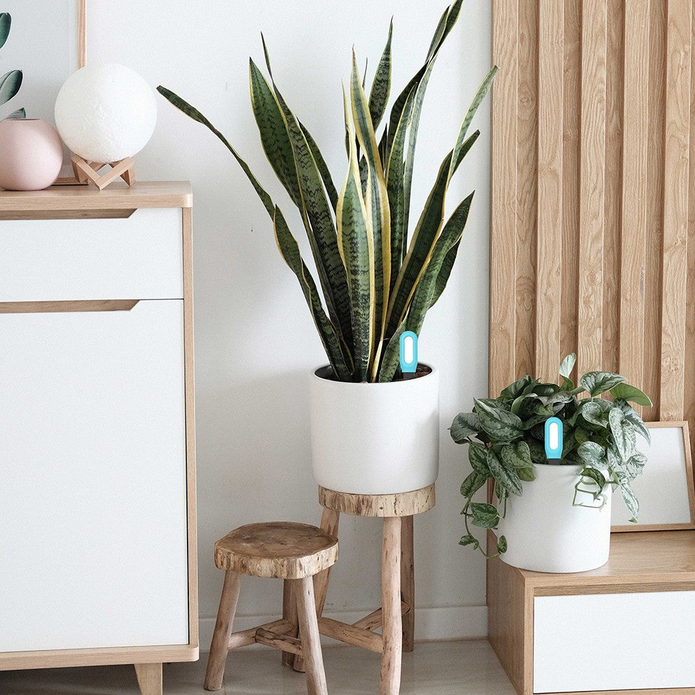 EcoSolo BT – Sensor Tuya para Jardim Inteligente